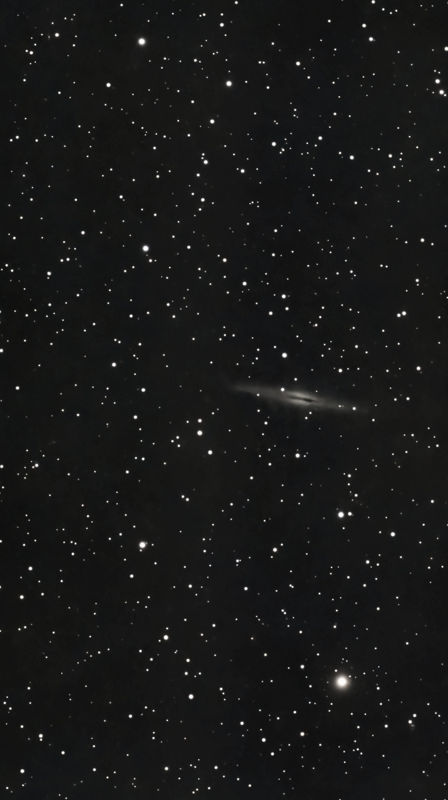 C23