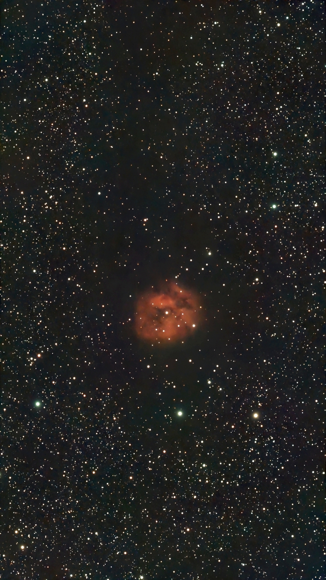 IC5146