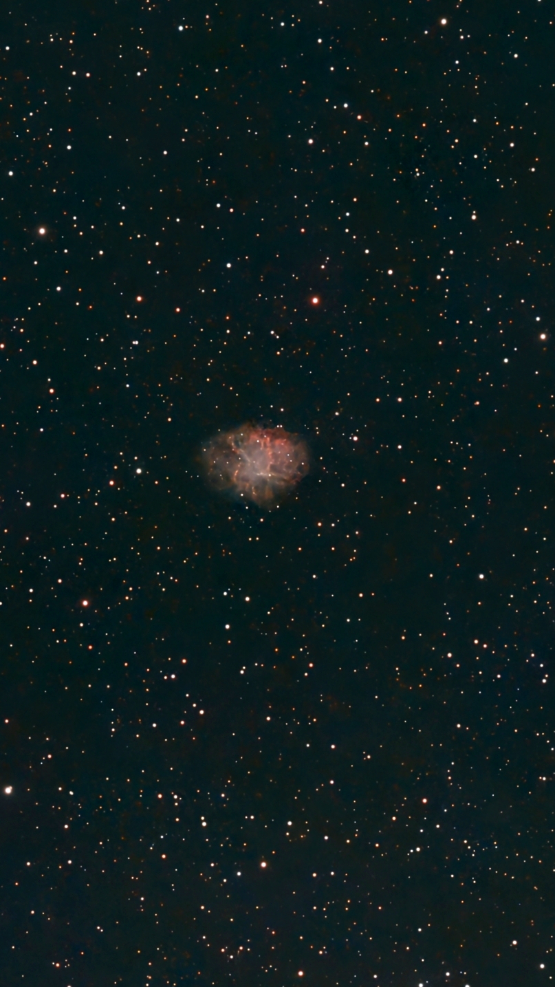 M1