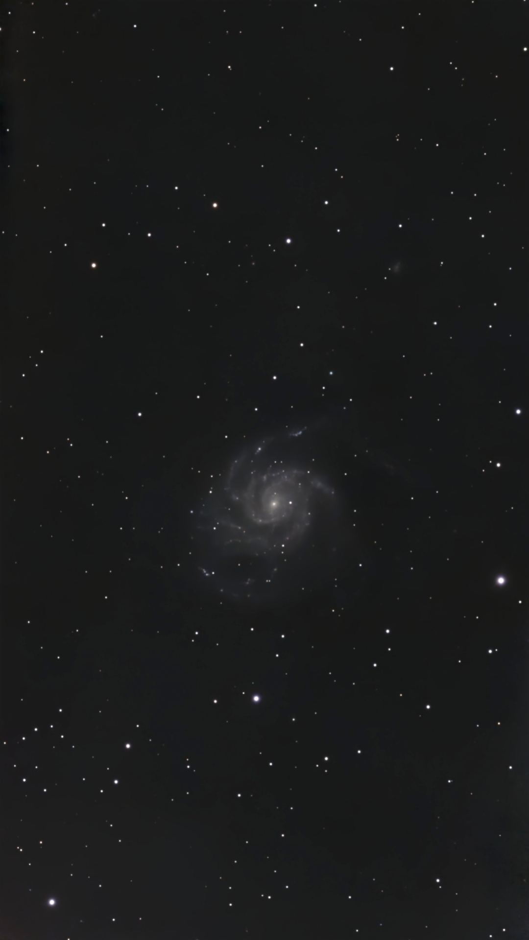 M101-16062026