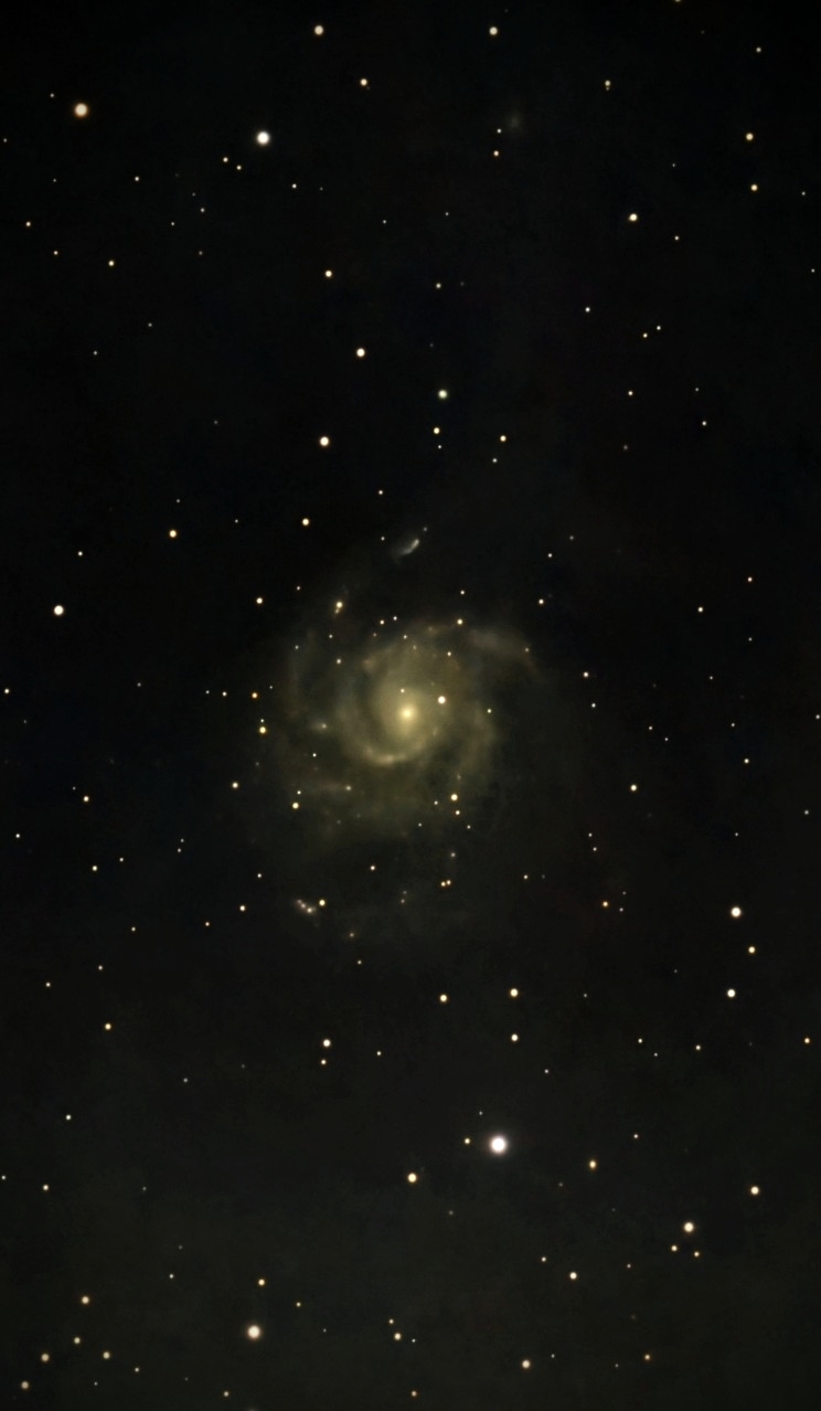 M101