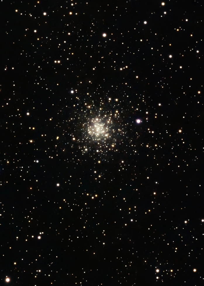 M56
