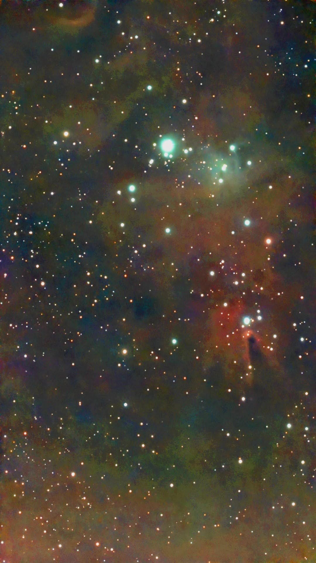 ngc2264