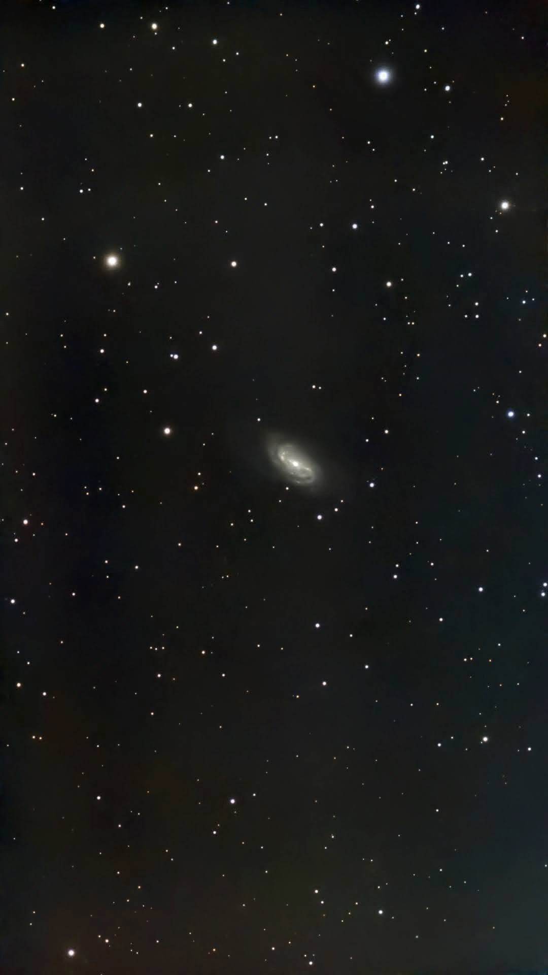 ngc2903