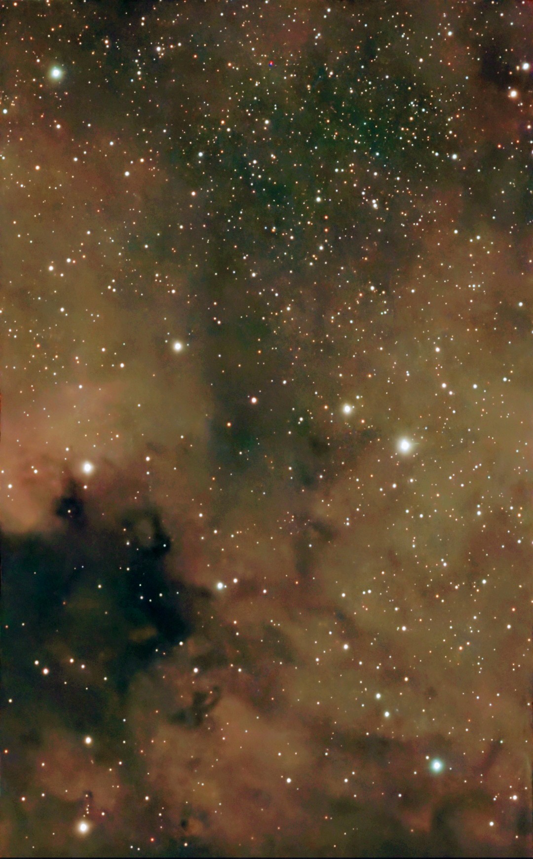ngc7000