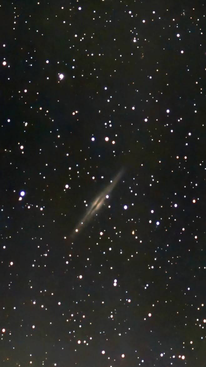 ngc891_03032025